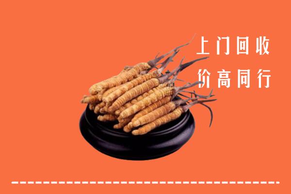 附近收购：宁波市镇海冬虫夏草回收多少钱每克