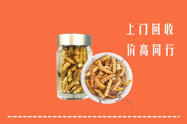 附近收购：宁波市镇海回收冬虫夏草