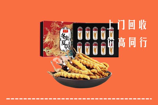 宁波市镇海回收虫草